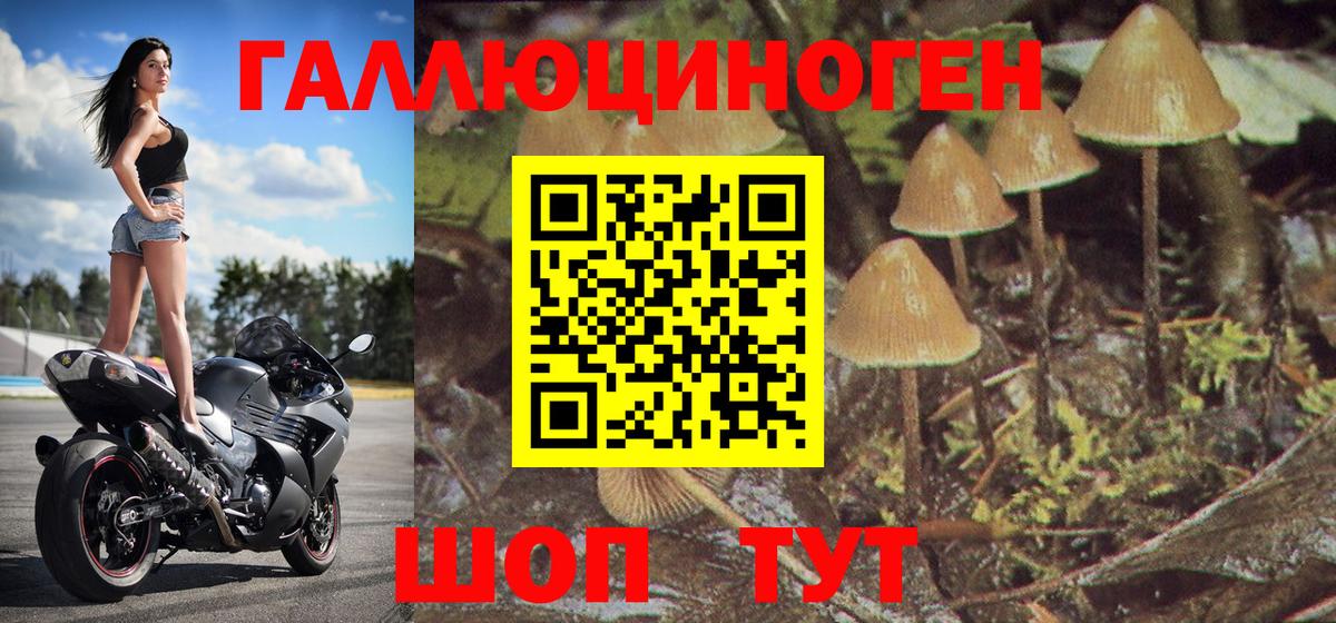 Псилоцибиновые грибы прущие грибы Тамбов